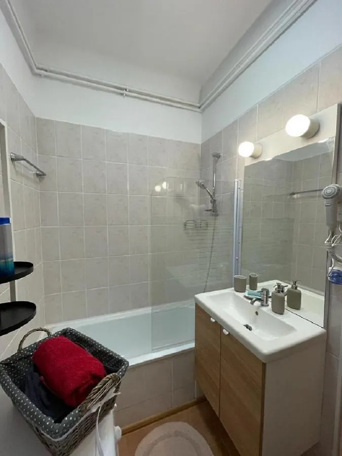 Bucharest Central Apartment 3